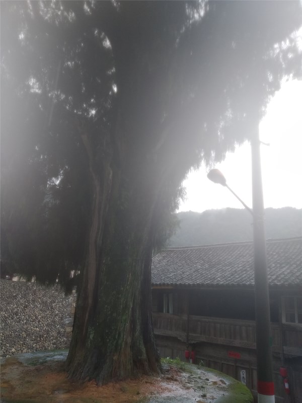 尚都家居luckysac懶人沙發(fā)團隊尋根之旅 百戰(zhàn)歸來再從心出發(fā)